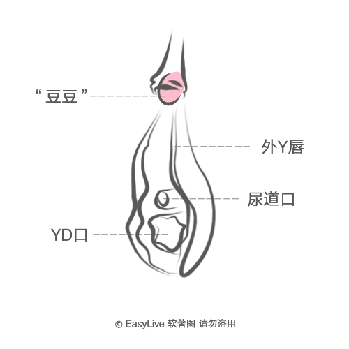 还有男生没吃过另一半的 豆豆
